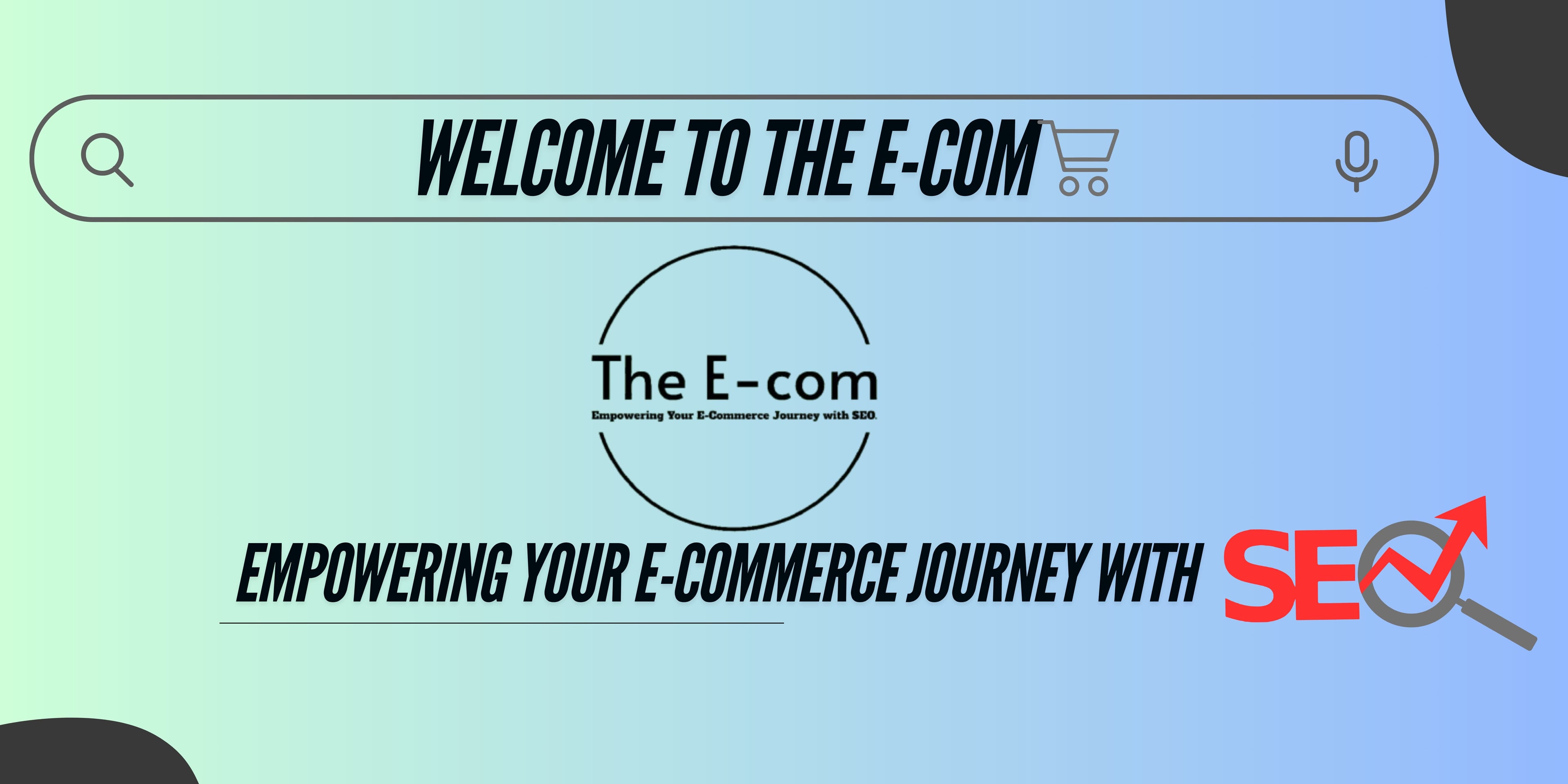 E-commerce SEO Journey